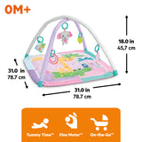 Bright Starts Wild Wiggles Sweet Safari FoldAway Activity Gym