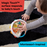 Baby Einstein + Hape Tap & Shake Magic Touch Tambourine, Ages 6 Months+