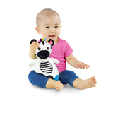 Baby Einstein Zen the Zebra Sensory Plush Teether Toy