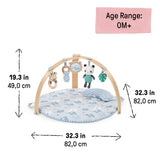 Ingenuity Cozy Spot Duvet Activity Gym with Self-Storage - Elephant March