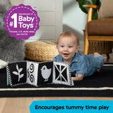 Baby Einstein Farm Explorers Counting at the Farm Soft Activity Book, Multisensory Ages 0+ Months