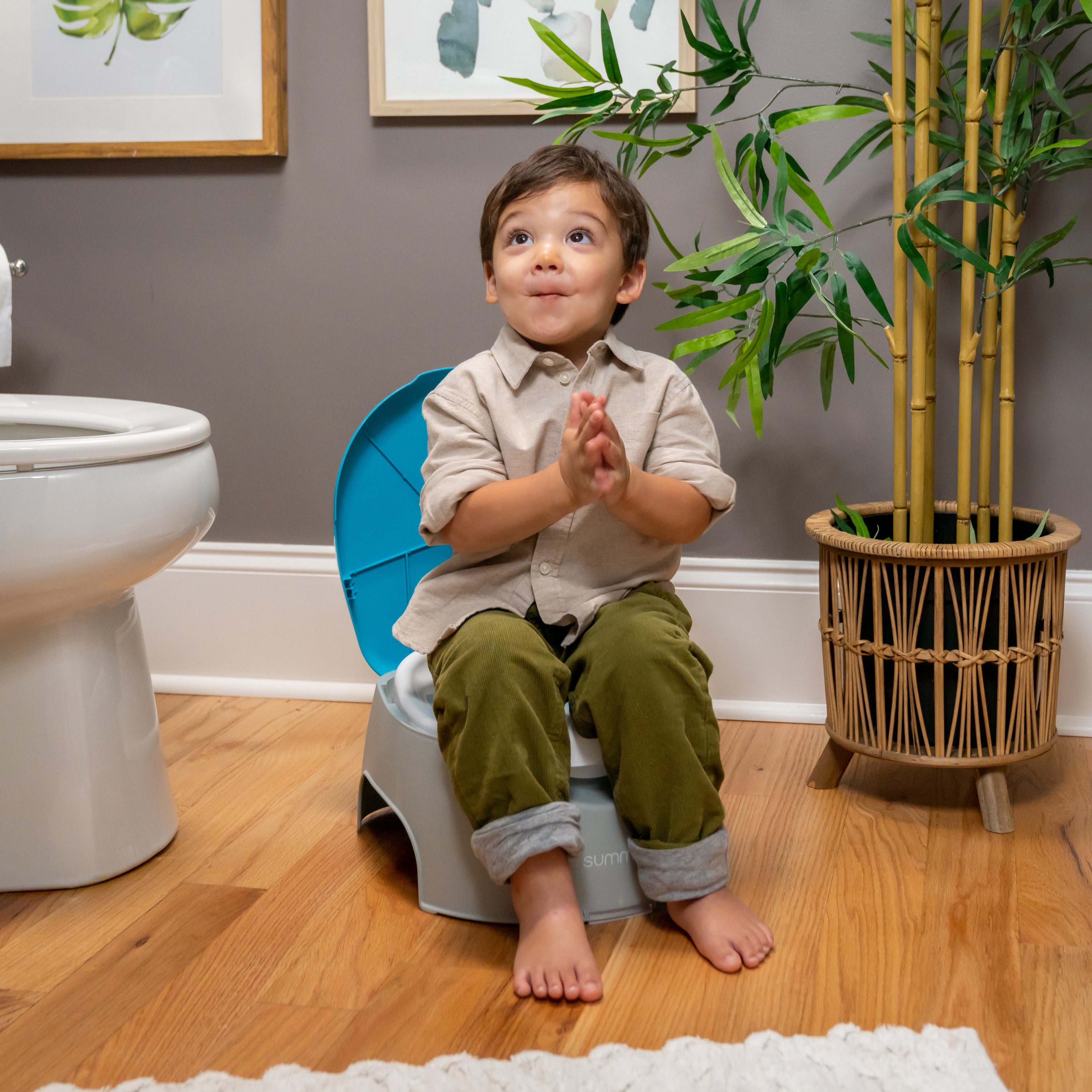 summer infant 3 in 1 potty 3 in 1 Train With Me Potty – Kids2, LLC