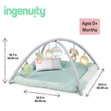 Ingenuity Calm Springs Plush Activity Baby Gym