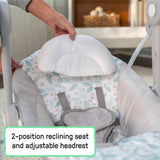 Ingenuity Comfort 2 Go Portable Swing - Endless Bloom