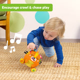 Bright Starts Bop Around Tiger Crawl & Chase Pal, Baby Activity Toy, 6 Months+