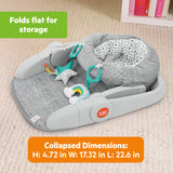 Bright Starts Learn-to-Sit 2-Position Floor Seat - Gray