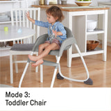 Ingenuity Trio 3-in-1 High Chair, Toddler Chair, and Booster - Nash
