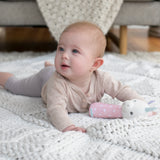 Ingenuity Premium Soft Plush Handheld Rattle, Shimmy the Unicorn