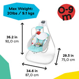 Baby Einstein Ocean Explorers Compact Vibrating Baby Swing, Grey