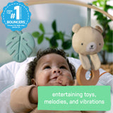 Cozy Spot Soothing Bouncer