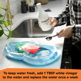 Baby Einstein Ocean Explorers Snack & Splash Compact Folding High Chair, Unisex