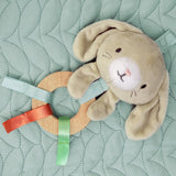 Ingenuity Calm Springs Plush Activity Baby Gym