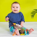 Bright Starts Playful Pals Take-Along Activity Toy, Sloth