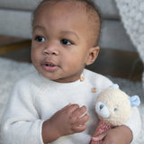 Ingenuity Premium Soft Plush Handheld Rattle, Nate the Teddy Bear