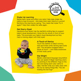 Soothing Star Teether & Rattle Toy