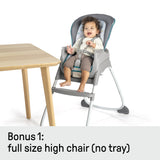 Ingenuity Trio 3-in-1 High Chair, Toddler Chair, and Booster - Nash