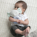 Ingenuity Premium Soft Plush Ring Rattle, Van the Elephant