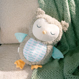 Ingenuity Snuggle Sounds Soothing Plush Toy Nally the Owl, Unisex