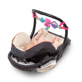 Bright Starts Busy Birdies Carrier Toy Bar Musical Take-Along Toy with Lights