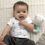 Ingenuity Premium Soft Plush Ring Rattle, Sheppy the Sheep