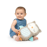 Ingenuity Snuggle Sounds Soothing Plush Toy Nally the Owl, Unisex