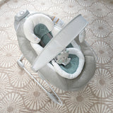 Ingenuity SmartBounce Automatic Bouncer, Pemberton