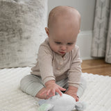 Ingenuity Premium Soft Plush Ring Rattle, Van the Elephant