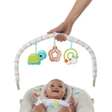 Bright Starts Happy Safari Vibrating Baby Bouncer Seat with Toy Bar