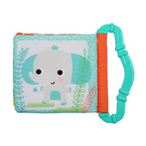 Bright Starts Teethe & Read Soft Book Toy