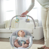 Ingenuity Soothing Baby Bouncer with Vibrating Infant Seat, Morrison