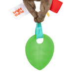 Bright Starts Pull, Play & Boogie Musical Activity Toy - Monkey