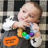 Baby Einstein Teether-pillar Rattle and Chill Teething Toy