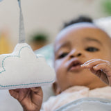 Ity by Ingenuity Bouncity Bounce Vibrating Deluxe Baby Bouncer - Goji