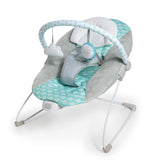 Ity by Ingenuity Bouncity Bounce Vibrating Deluxe Baby Bouncer - Goji